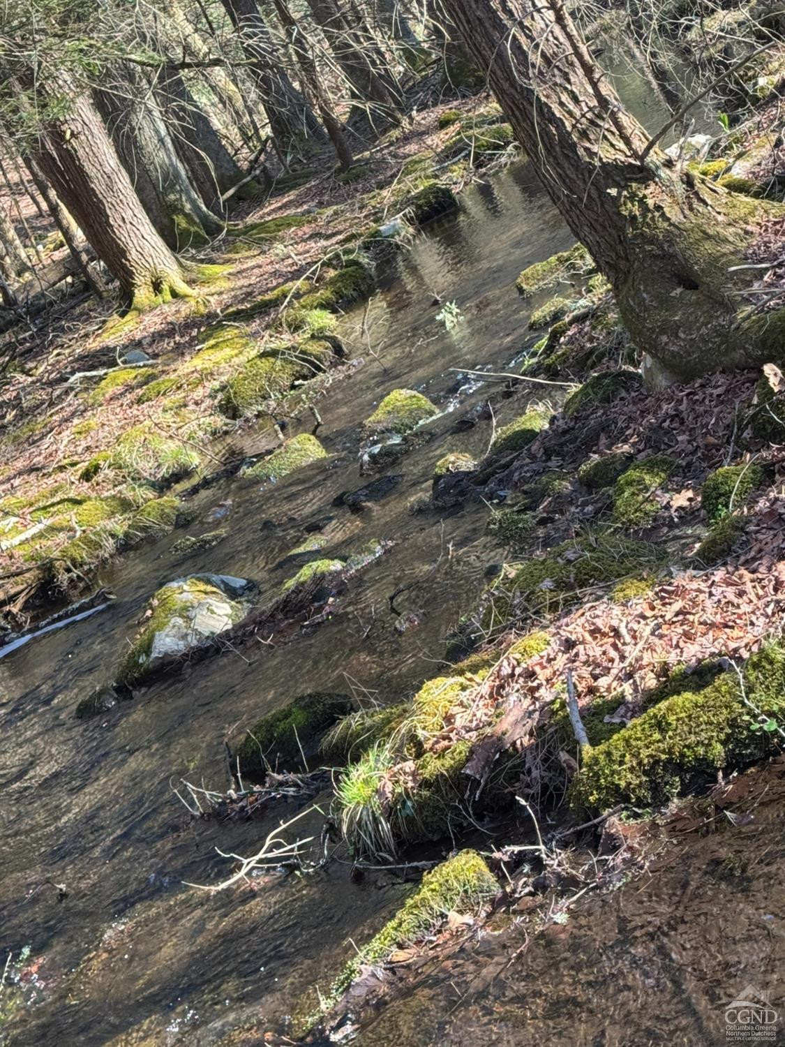 46 Pine Grove Road Kerhonkson, NY 12446 - Photo 2 of 22 a backyard of a house