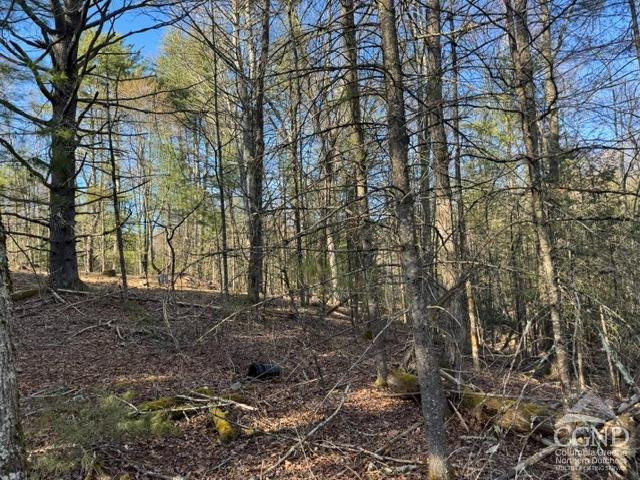 46 Pine Grove Road Kerhonkson, NY 12446 - Photo 21 of 22 a backyard of a house with lots of green space