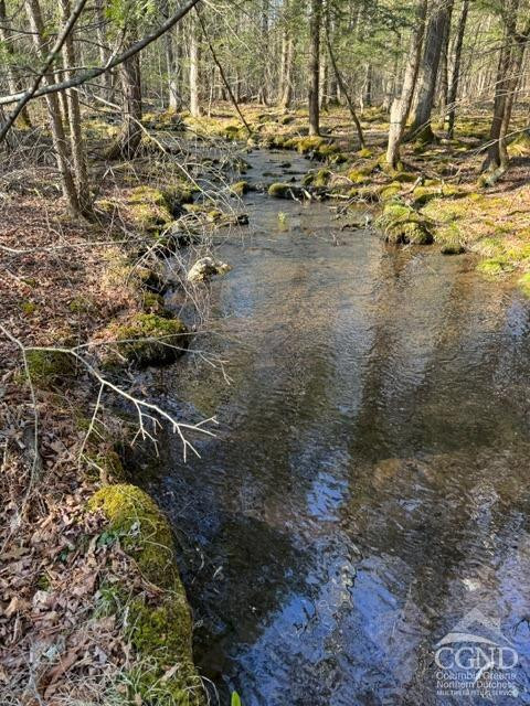 46 Pine Grove Road Kerhonkson, NY 12446 - Photo 7 of 22 a view of a yard with wooden fence