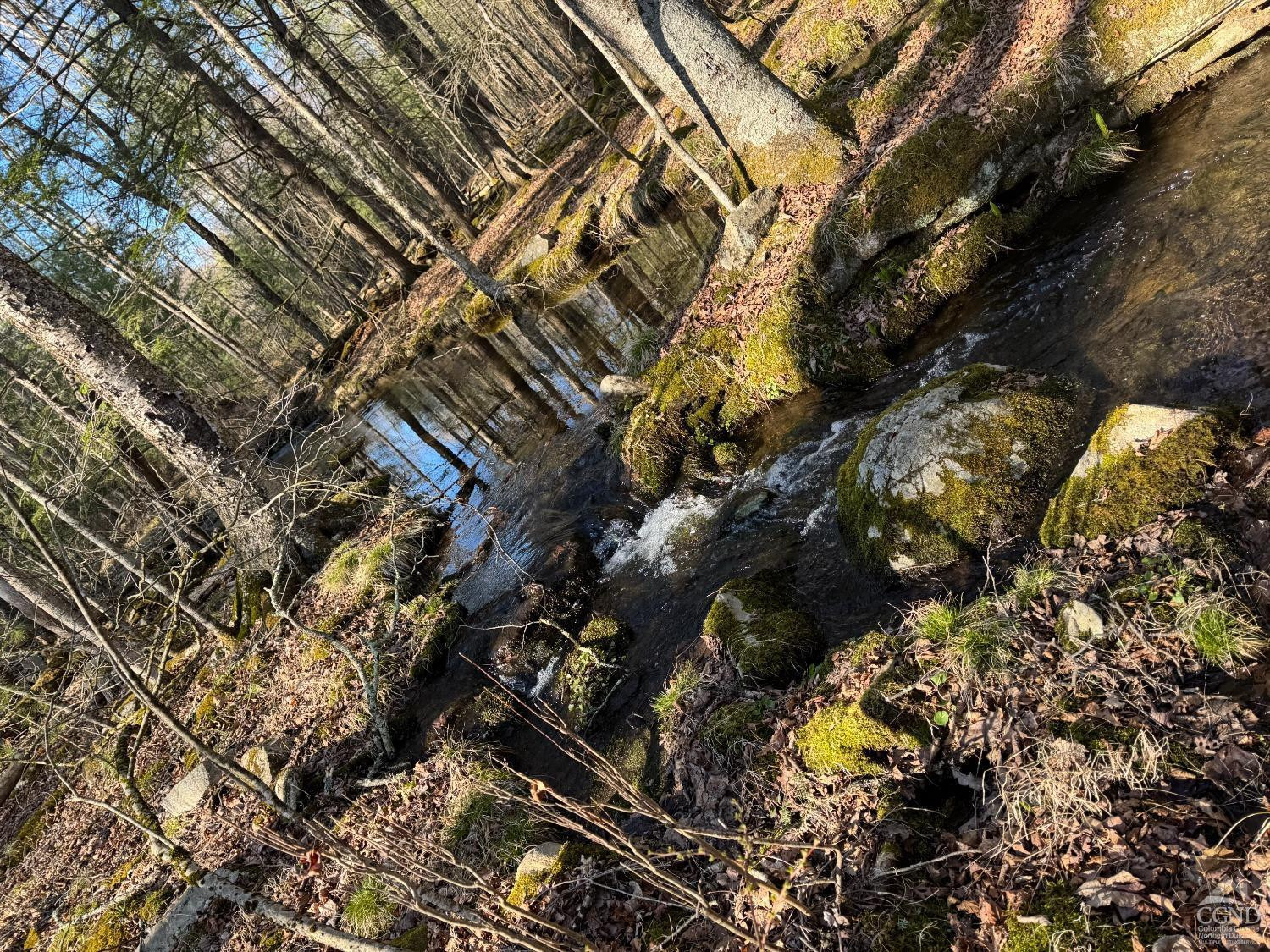 46 Pine Grove Road Kerhonkson, NY 12446 - Photo 8 of 22 a map view of location