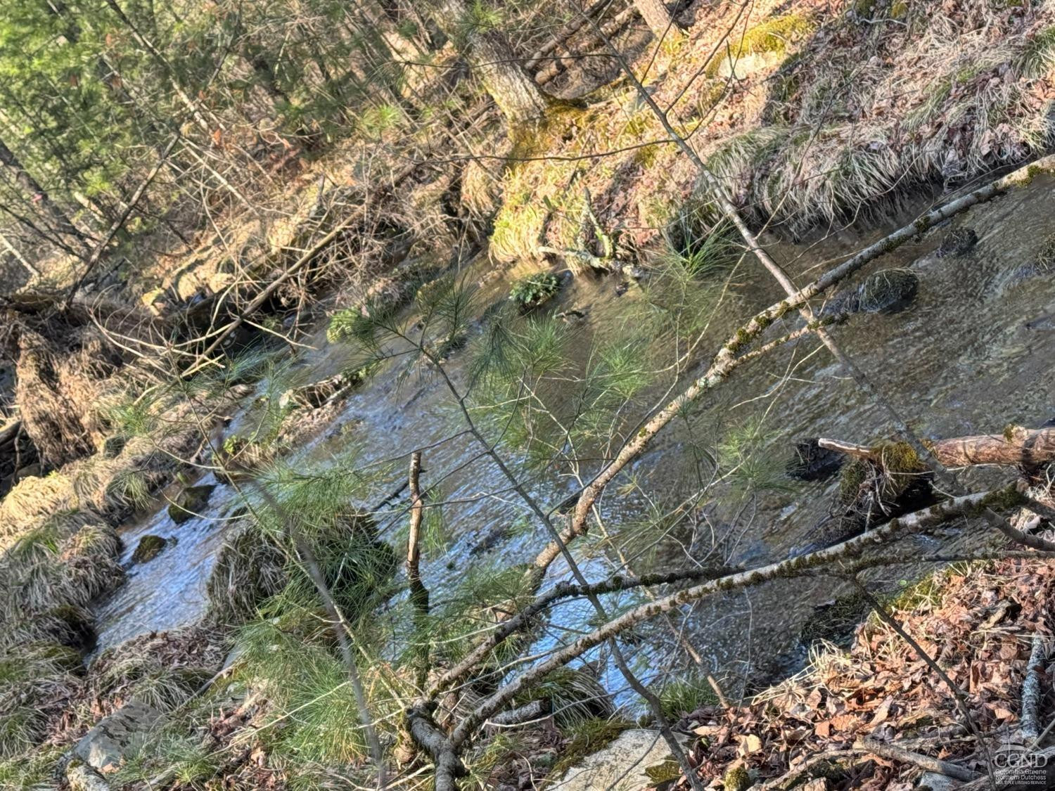 46 Pine Grove Road Kerhonkson, NY 12446 - Photo 10 of 22 a backyard of a house