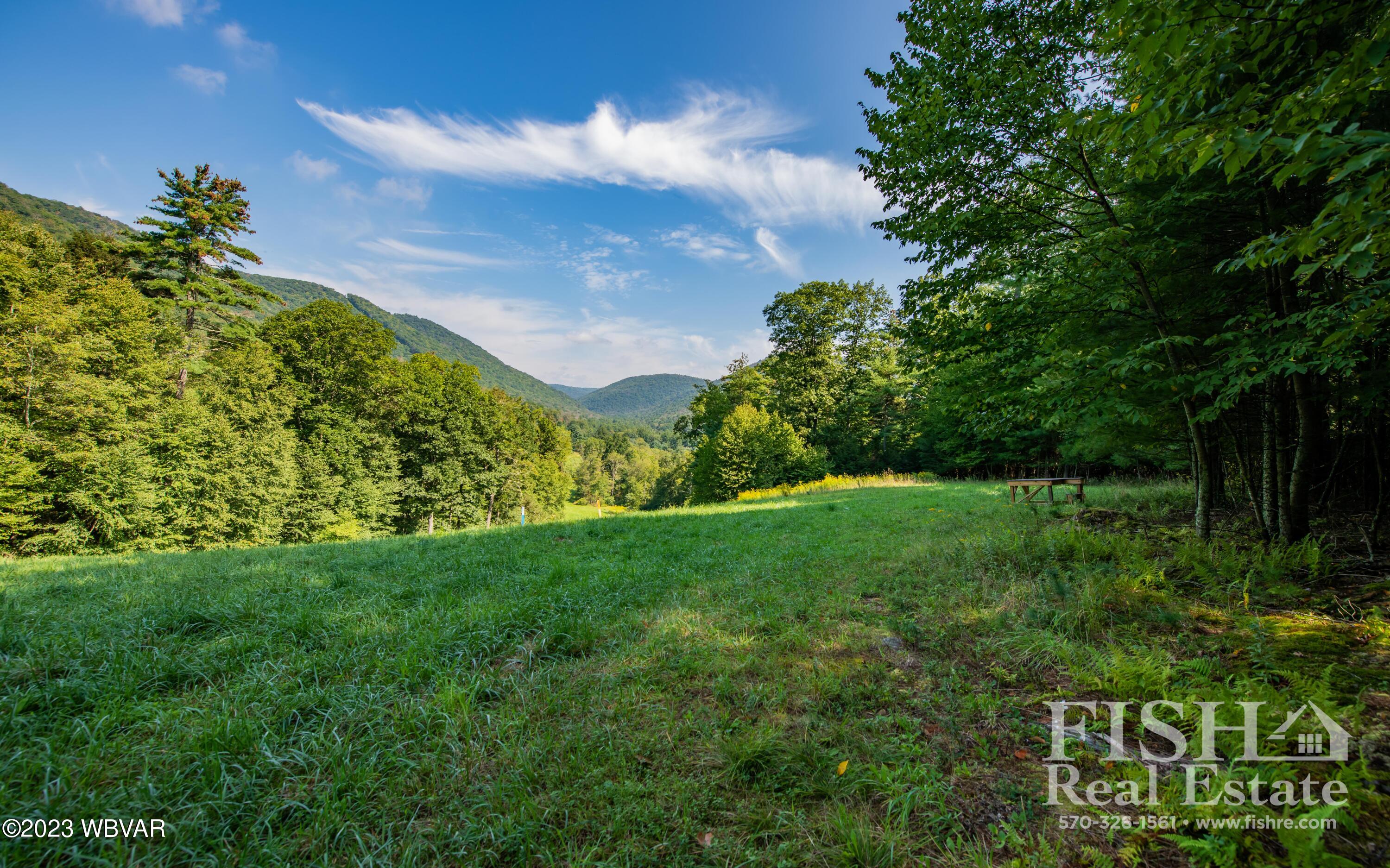 357 Hoagland Run Road Cogan Station, PA 17728 - Photo 15 of 39 Gallery Image 15