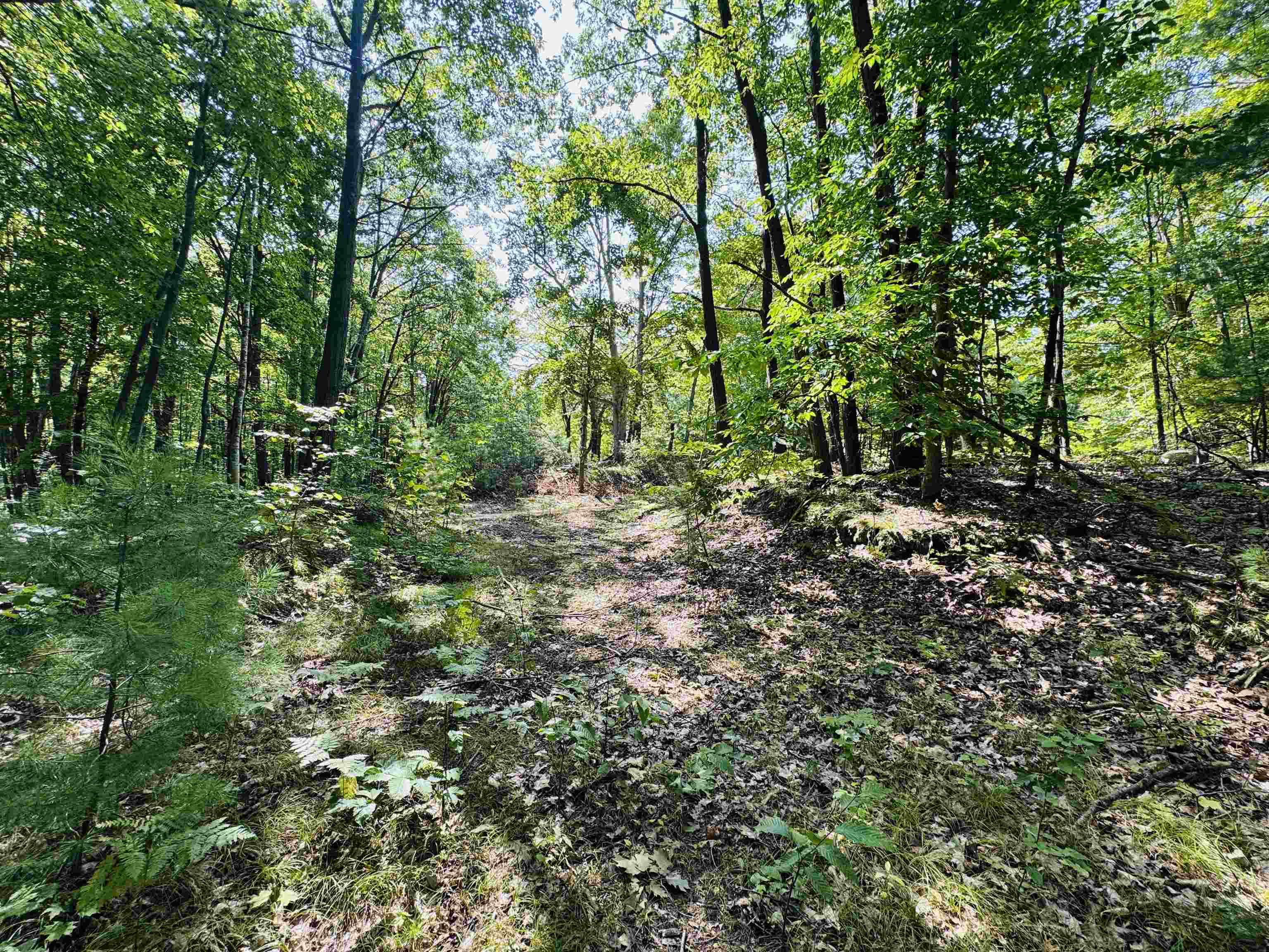 Steed Road Buckley, MI 49620 - Photo 1 of 4