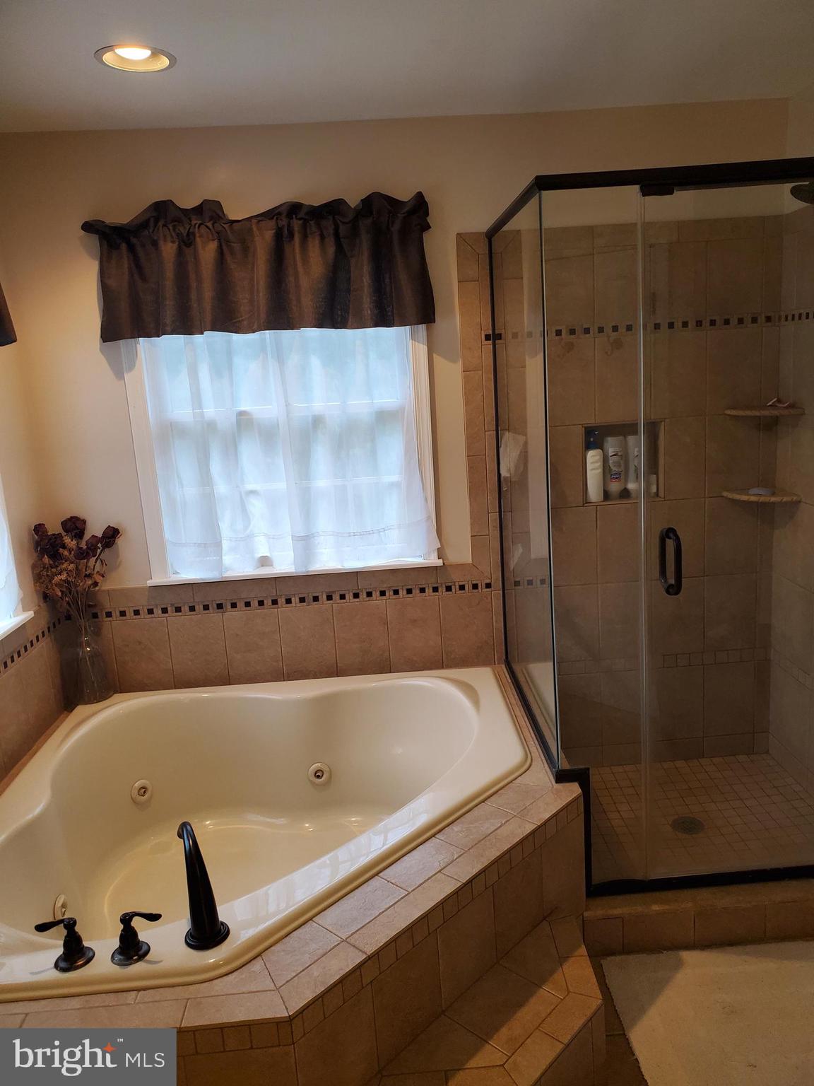 4515 Chestnut Ridge Drive Manchester, MD 21102 - Photo 30 of 47 Master Bathroom with standup shower and jetted tub