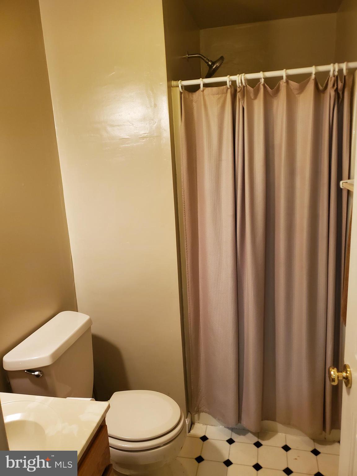 4515 Chestnut Ridge Drive Manchester, MD 21102 - Photo 42 of 47 Basement full bath