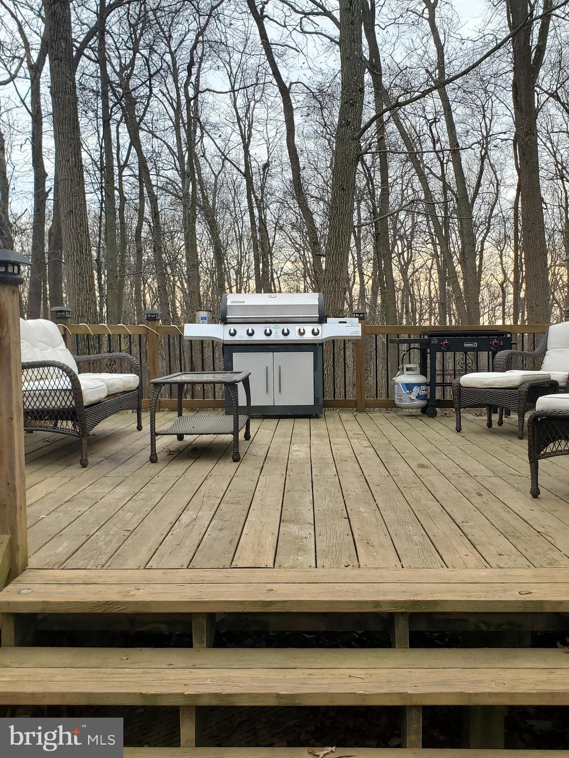 4515 Chestnut Ridge Drive Manchester, MD 21102 - Photo 9 of 47 View of rear deck off of house