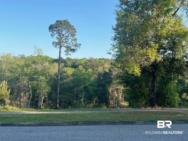 8319 Pine Run Daphne, AL 36527 - Photo 8 of 14