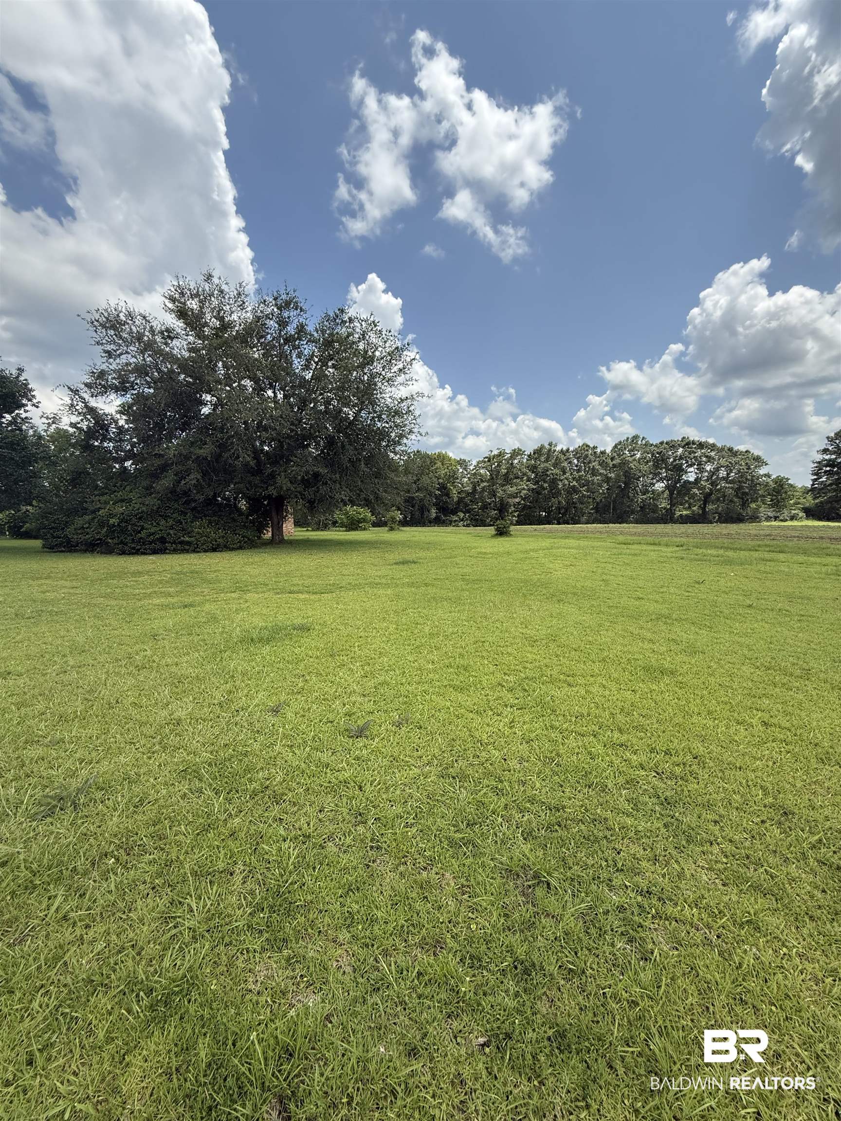 227 County Road 14 Range, AL 36473 - Photo 9 of 41