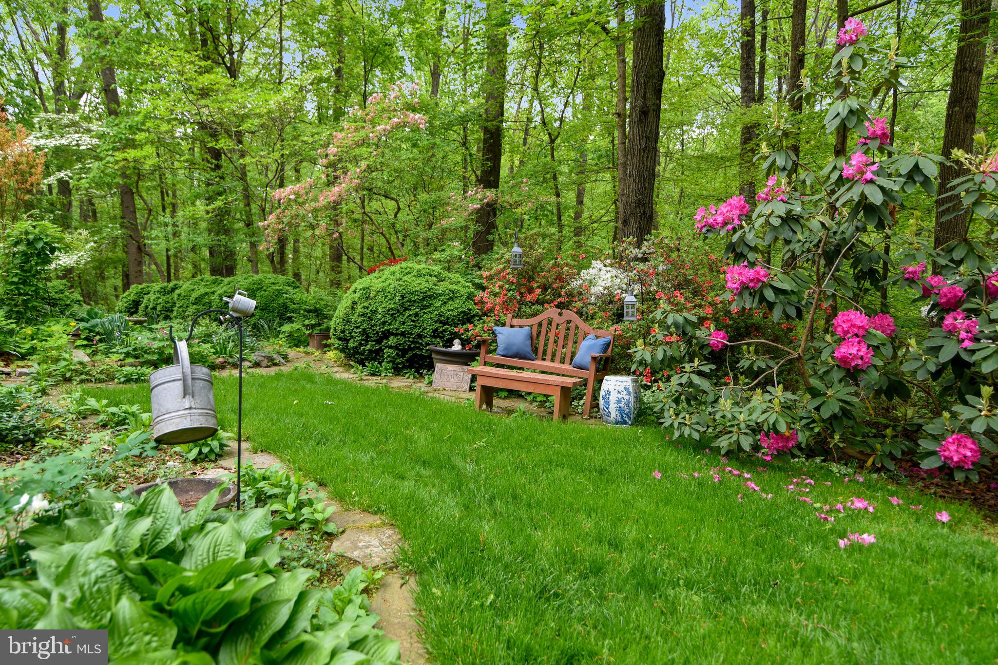 10810 Hunter Station Road Vienna, VA 22181 - Photo 64 of 68 A beautiful rhododendron flanks the back yard.