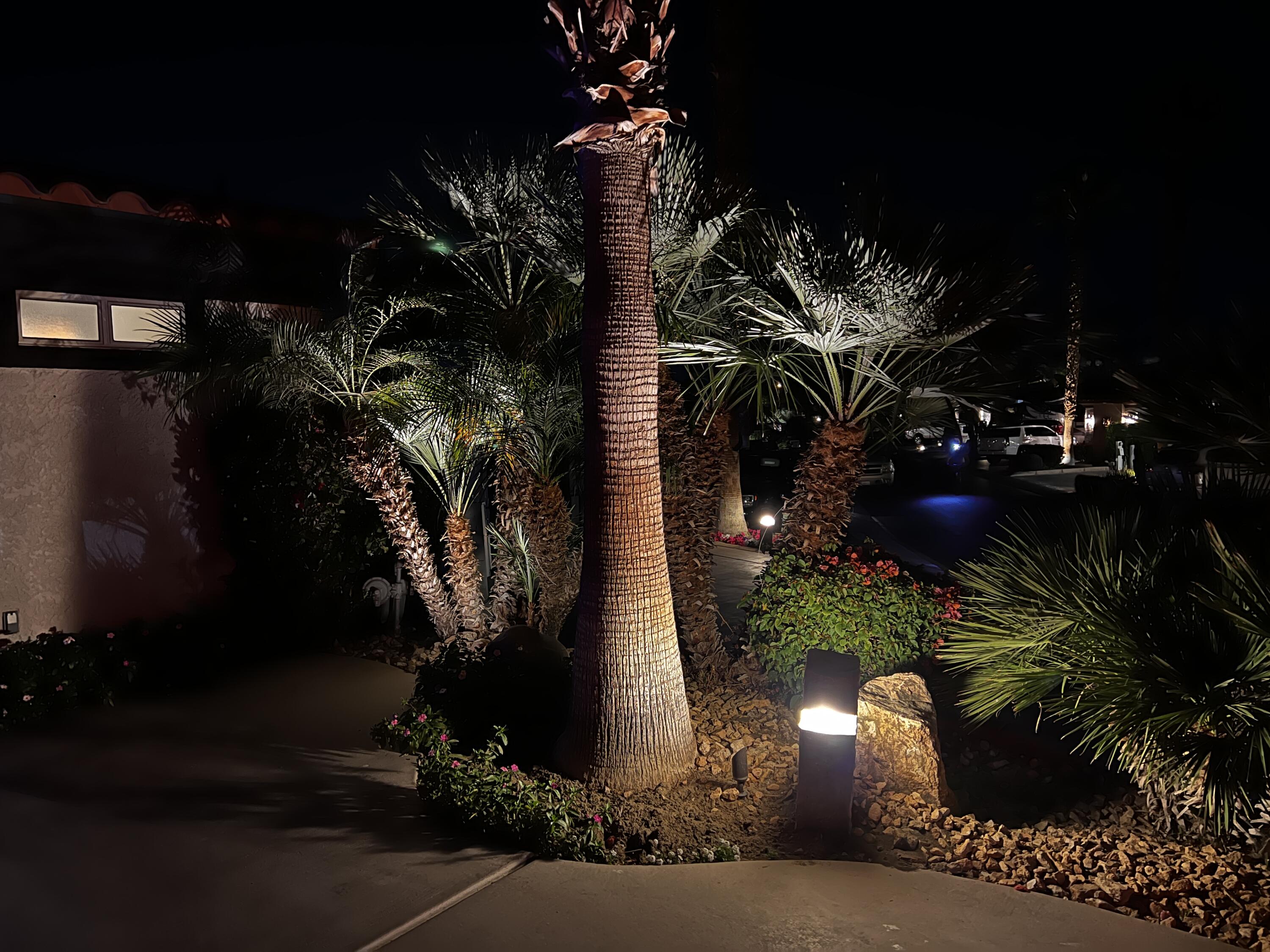 80501 Ave 48, Unit 110 Indio, CA 92201 - Photo 4 of 35 a view of a flower in a yard