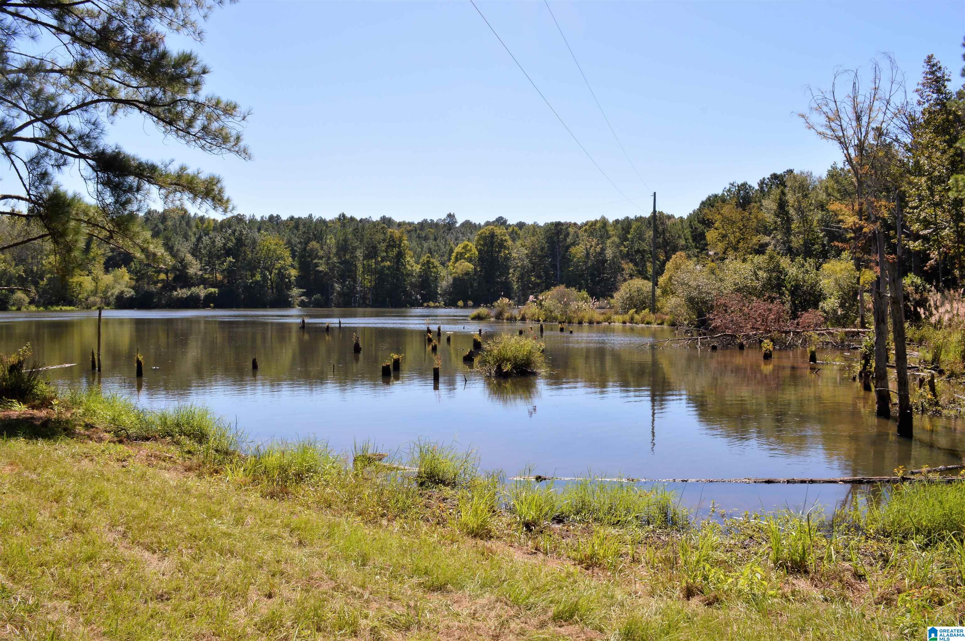 797 Hickory Hill Road West Blocton, AL 35184 - Photo 9 of 18