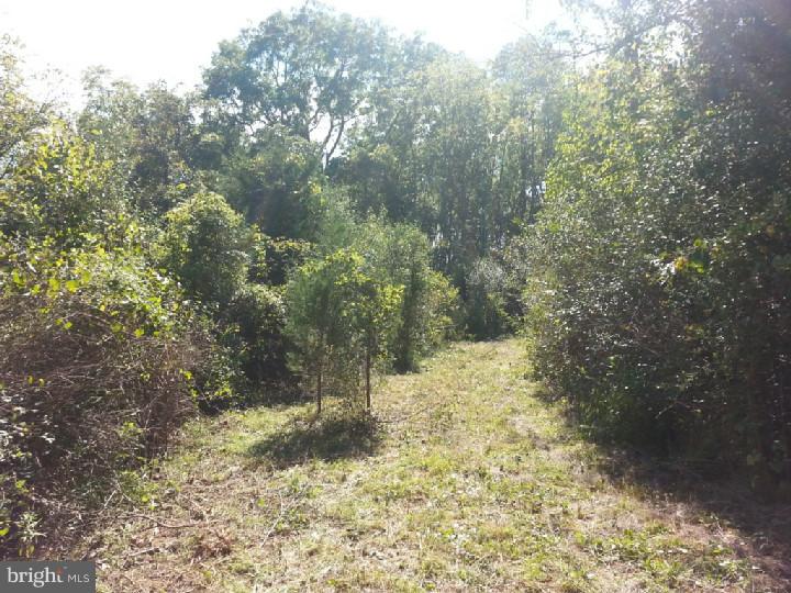 Lot 2 East Rock Road Perkasie, PA 18944 - Photo 8 of 19 Gallery Image 8