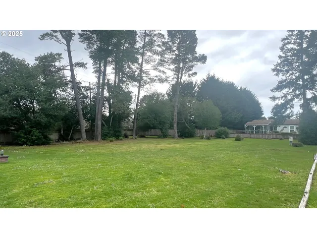 a black and white photo of a park