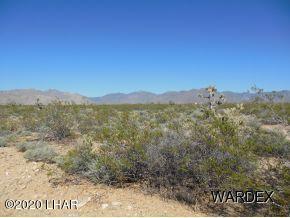 108 Nolan Road Yucca, AZ 86438 - Photo 2 of 9 Nolan 2