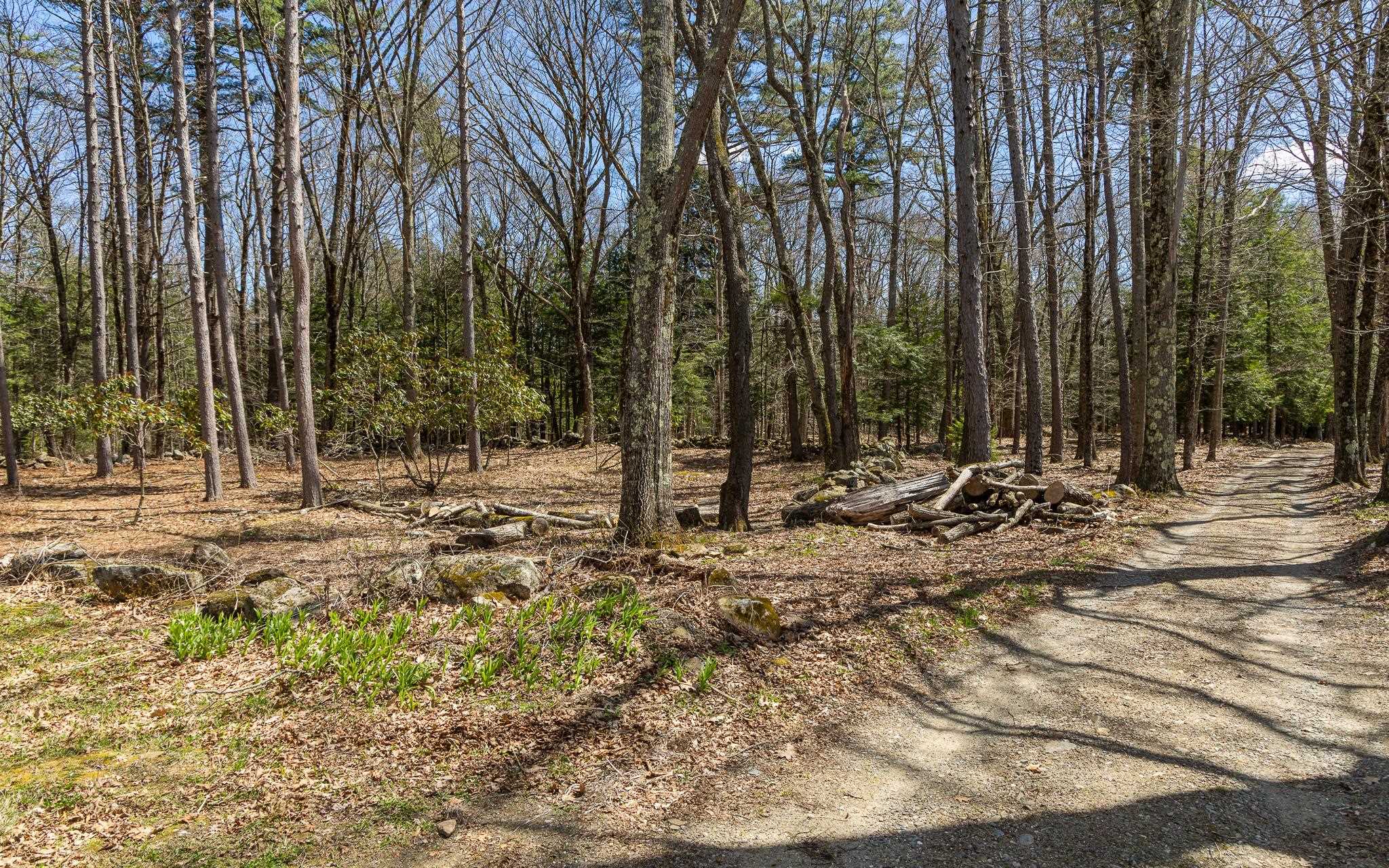 0 Forest Road Alstead, NH 03602 - Photo 8 of 12