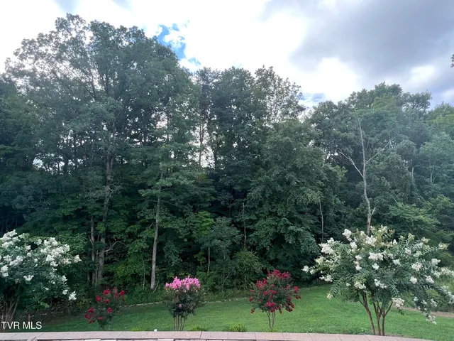 $1,250,000 | 5079 Rose Gardens Circle, Kingsport, TN 37660