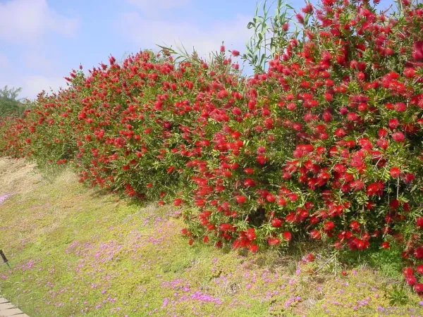 $1,450,000 | Margale, Vista, CA 92083