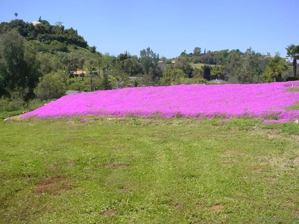 $1,450,000 | Margale, Vista, CA 92083