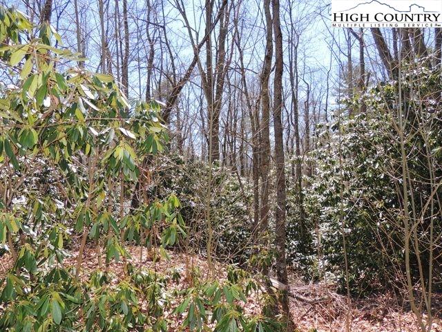 Lot 3 Evergreen Boone, NC 28607 - Photo 13 of 13 Gallery Image 13