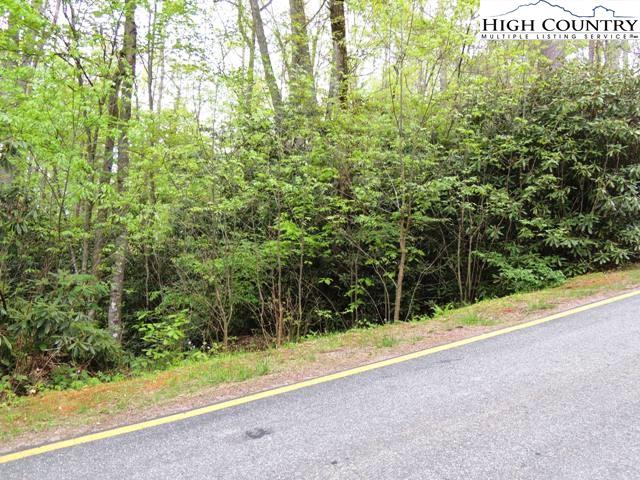 Lot 3 Evergreen Boone, NC 28607 - Photo 3 of 13 Gallery Image 3