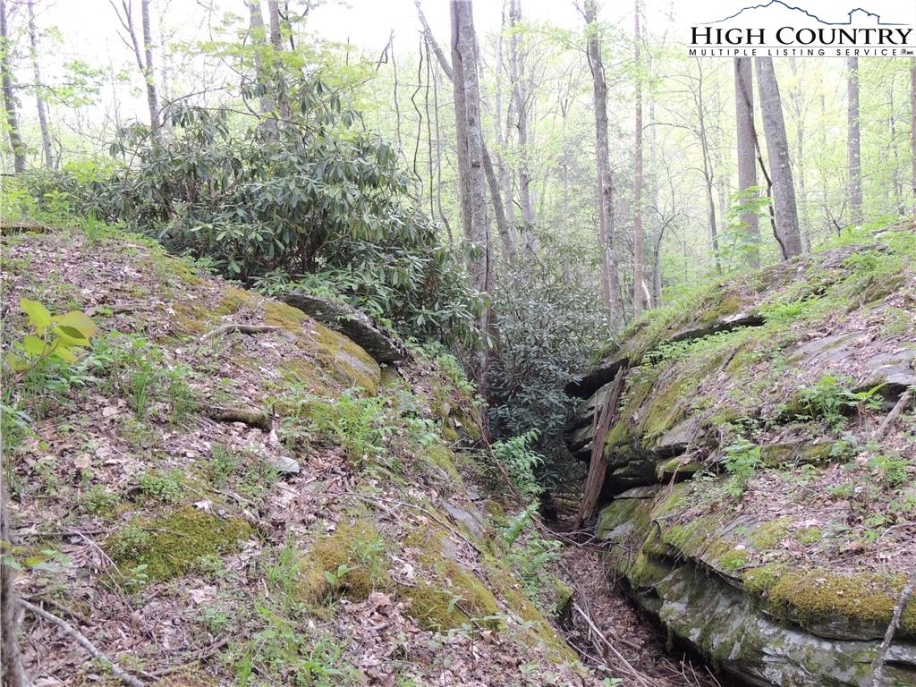 Lot 3 Evergreen Boone, NC 28607 - Photo 4 of 13 Gallery Image 4