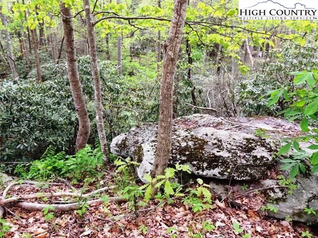 Lot 3 Evergreen Boone, NC 28607 - Photo 5 of 13 Gallery Image 5
