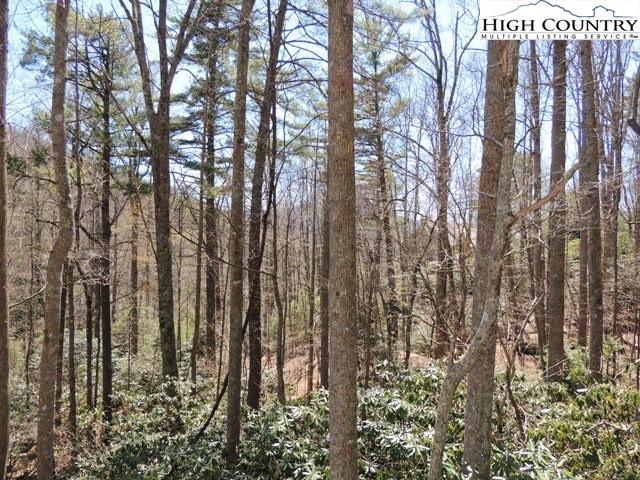 Lot 3 Evergreen Boone, NC 28607 - Photo 6 of 13 Gallery Image 6