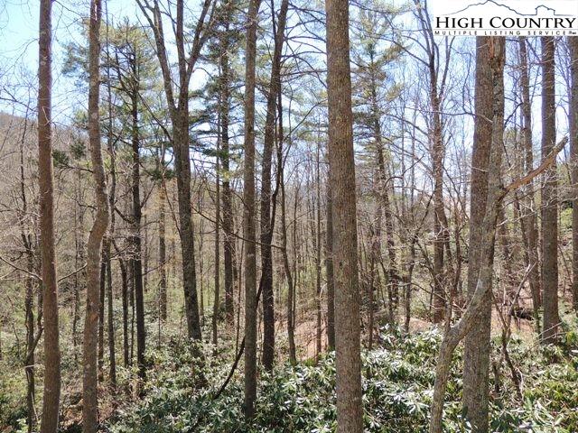 Lot 3 Evergreen Boone, NC 28607 - Photo 7 of 13 Gallery Image 7
