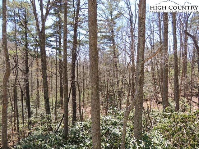 Lot 3 Evergreen Boone, NC 28607 - Photo 8 of 13 Gallery Image 8