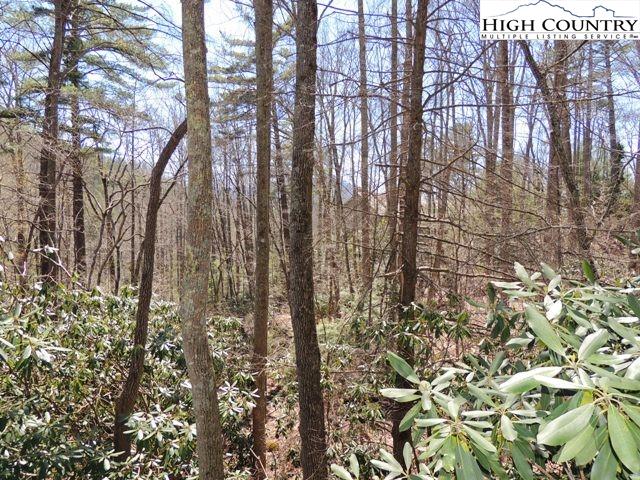 Lot 3 Evergreen Boone, NC 28607 - Photo 9 of 13 Gallery Image 9