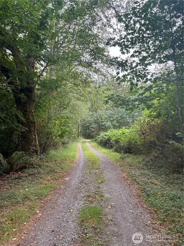 a view of a pathway both side of yard
