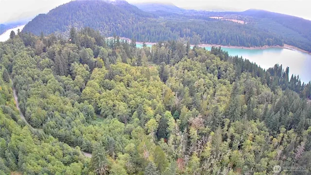 a view of a wooden floor and a yard