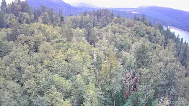 a view of a covered with trees
