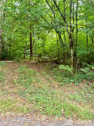 a view of outdoor space and trees