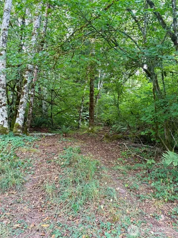a big yard with lots of green space and deers