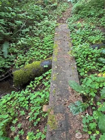 a view of a pathway both side of yard