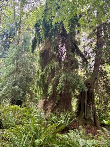 a backyard of a house