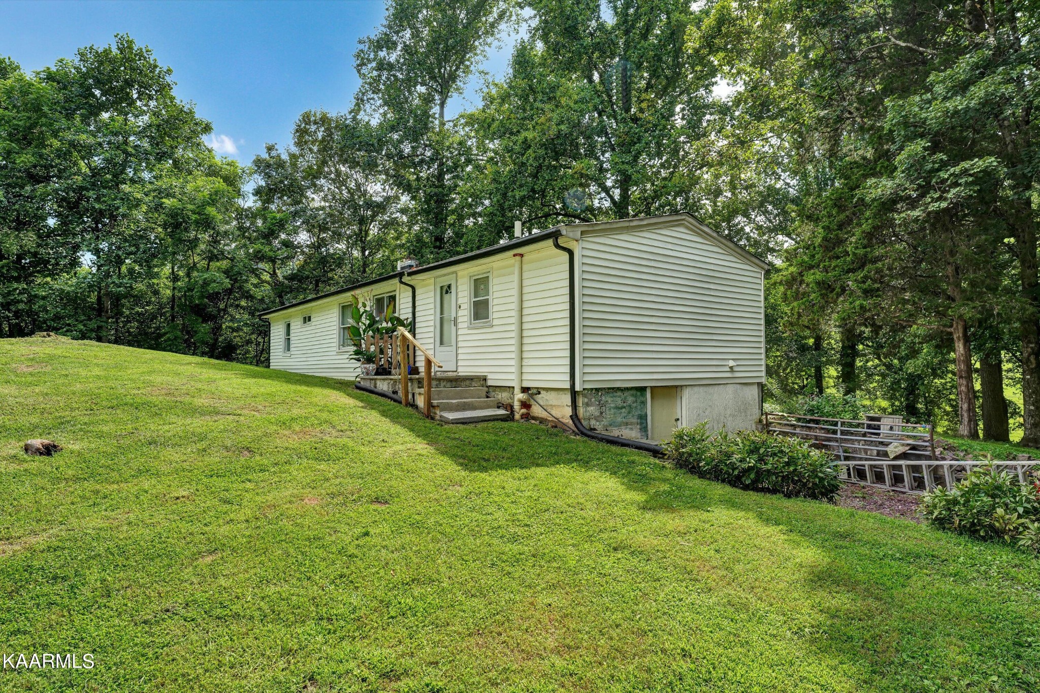 185 Moody Hollow Road Powell, TN 37849 - Photo 19 of 46 a backyard of a house with lots of green space