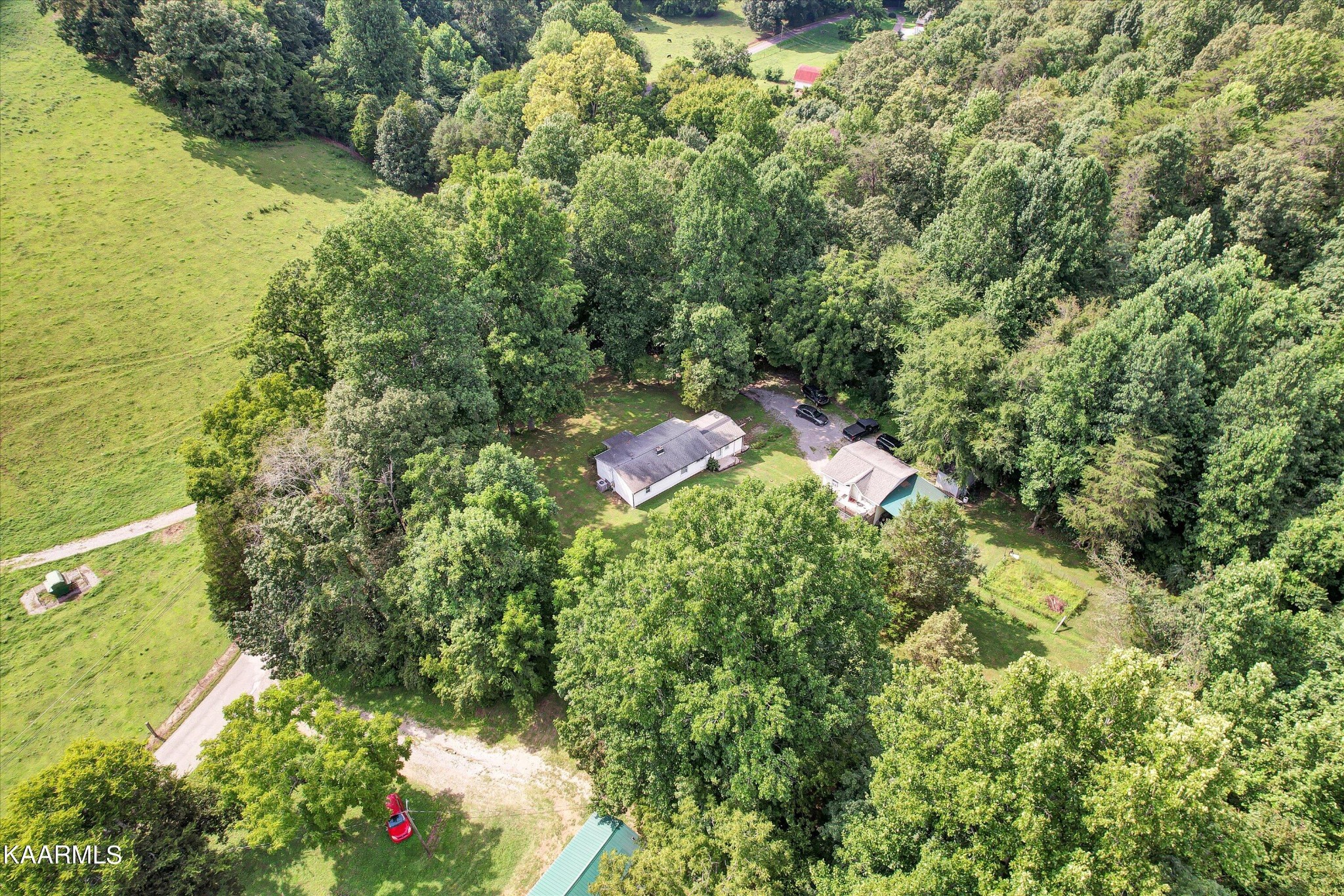 185 Moody Hollow Road Powell, TN 37849 - Photo 30 of 46 a view of a yard with plants and large trees