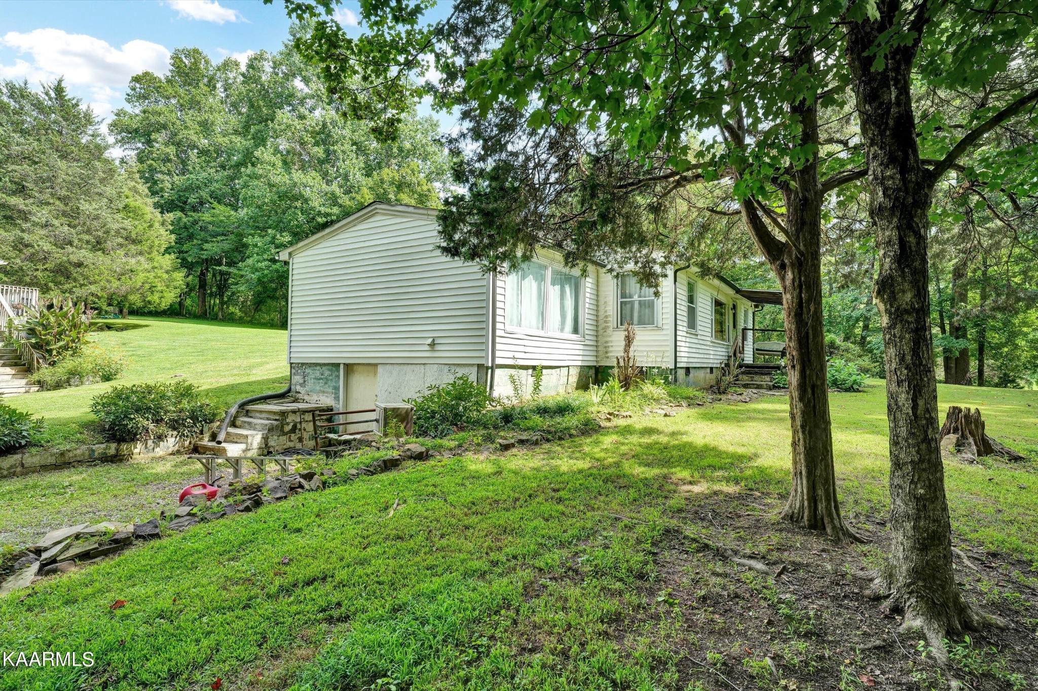 185 Moody Hollow Road Powell, TN 37849 - Photo 3 of 46 a view of backyard of house with green space