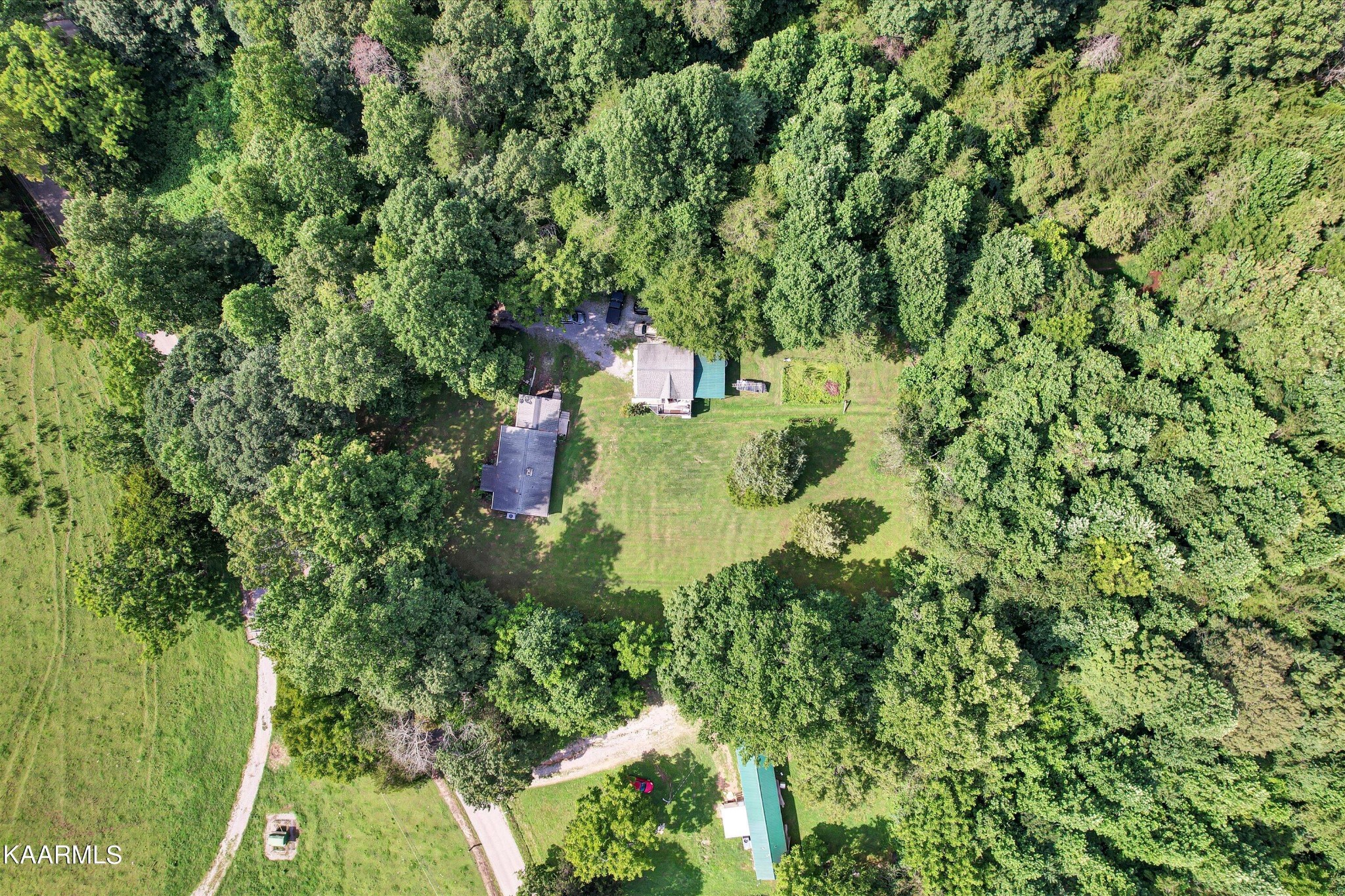 185 Moody Hollow Road Powell, TN 37849 - Photo 34 of 46 a view of a yard with plants