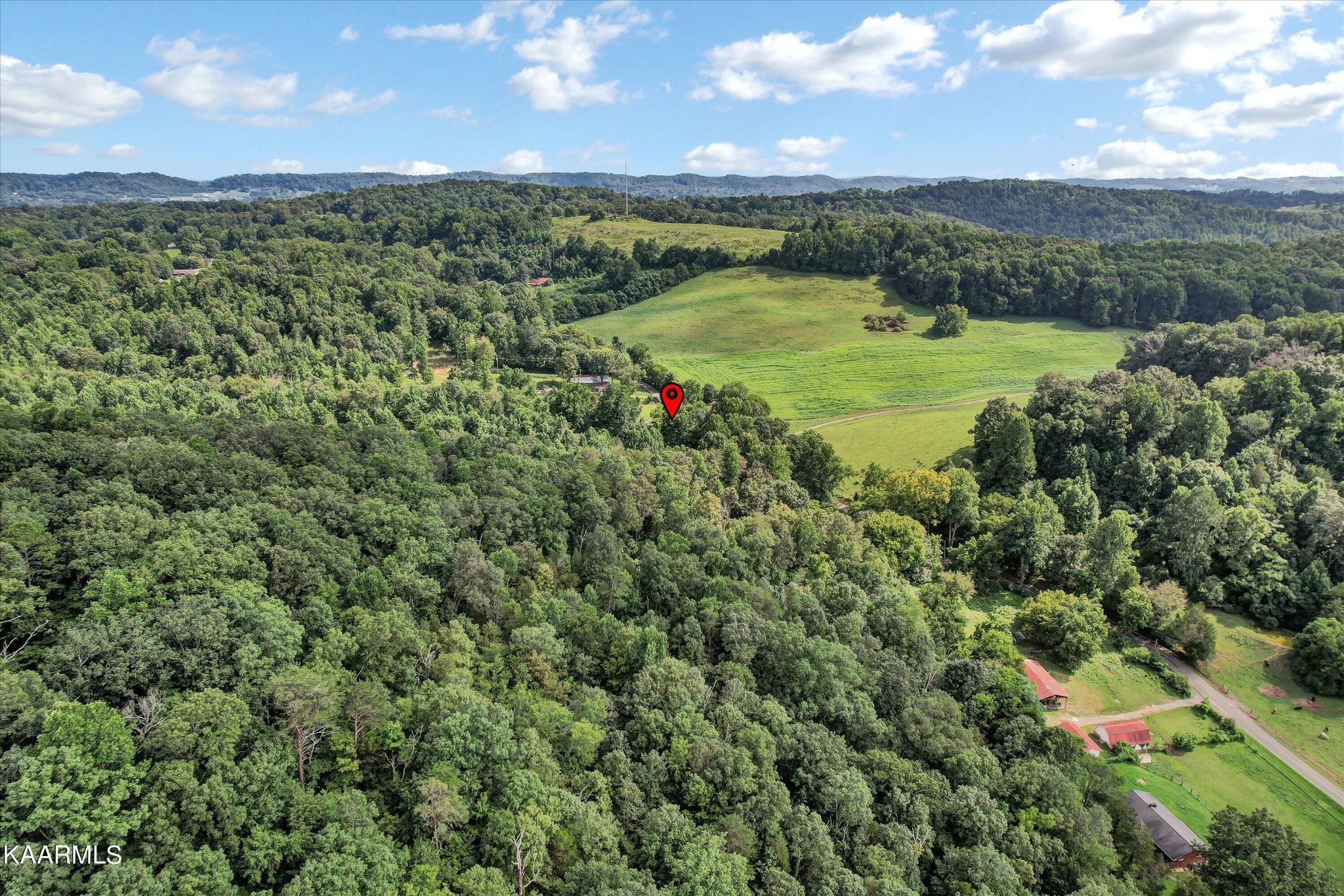 185 Moody Hollow Road Powell, TN 37849 - Photo 41 of 46 a view of a lush green forest with houses