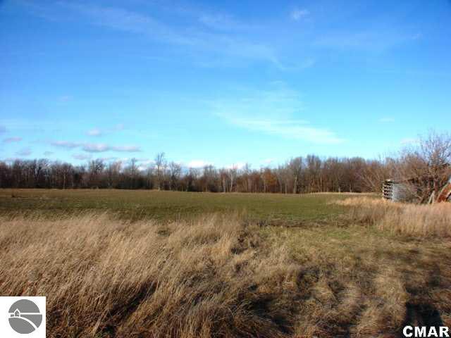 9000 Parks Road Shepherd, MI 48883 - Photo 3 of 5 1765497-2.JPG