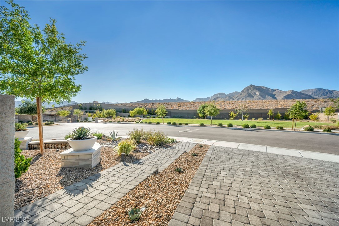 218 Springbough Lane Las Vegas, NV 89138 - Photo 7 of 39 Courtyard View