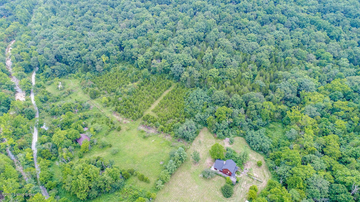 1898 Bolin Branch Road Lockport, KY 40036 - Photo 46 of 48 Aerial Still images (9 of 13)