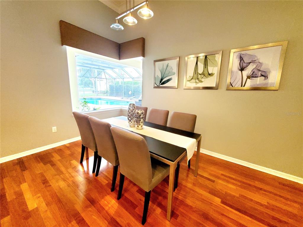 10004 Tree Tops Lake Road Tampa, FL 33626 - Photo 20 of 74