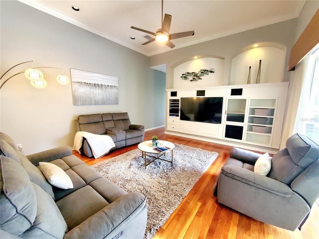 10004 Tree Tops Lake Road Tampa, FL 33626 - Photo 21 of 74 a living room with furniture ceiling fan and a rug