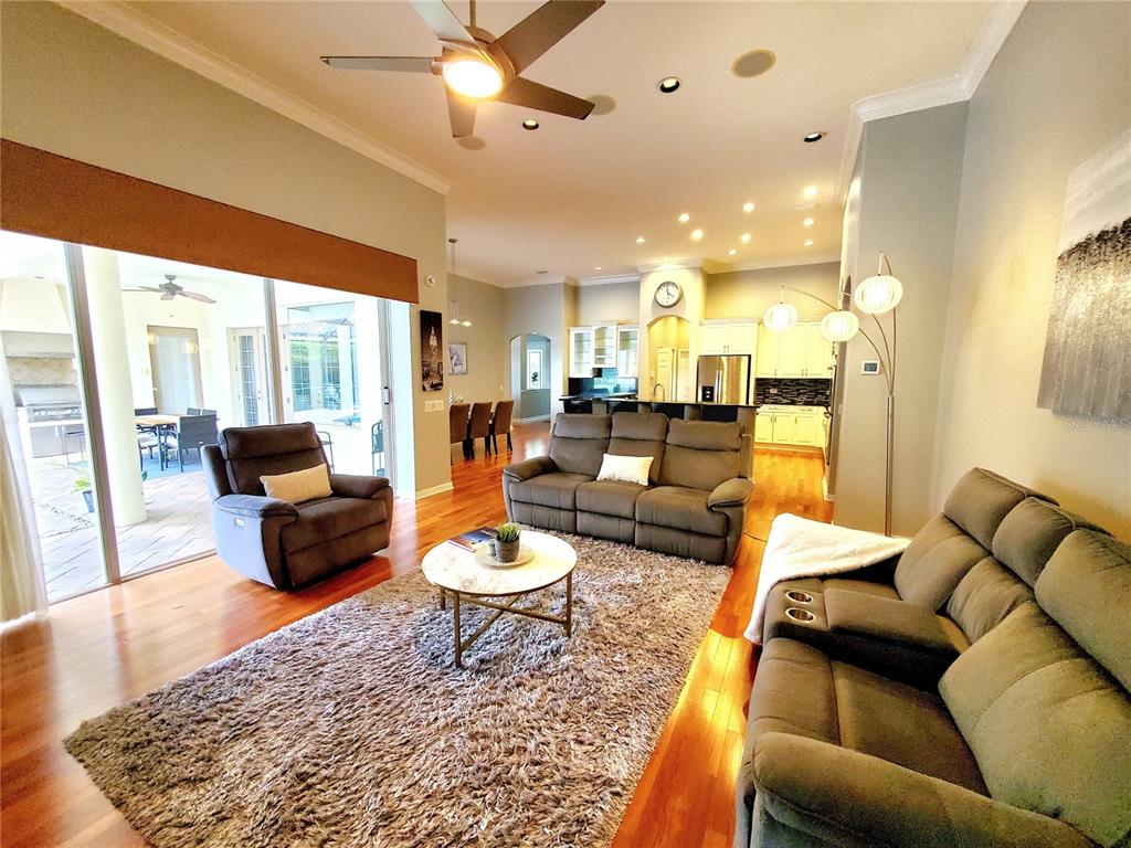 10004 Tree Tops Lake Road Tampa, FL 33626 - Photo 23 of 74 a living room with furniture and a rug