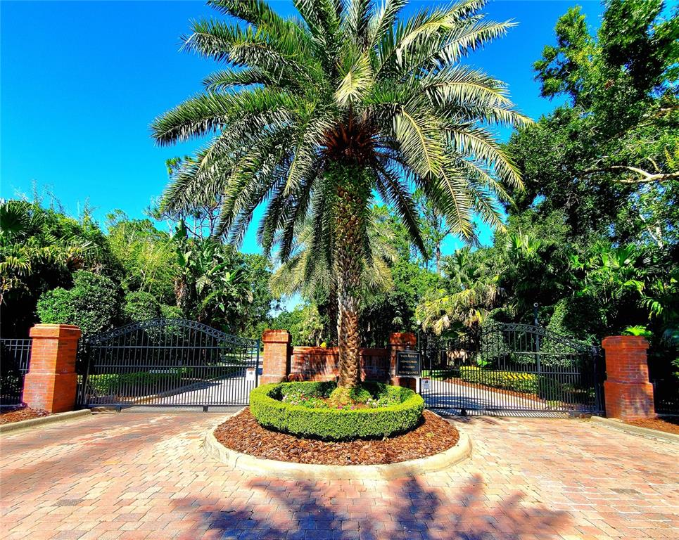 10004 Tree Tops Lake Road Tampa, FL 33626 - Photo 3 of 74