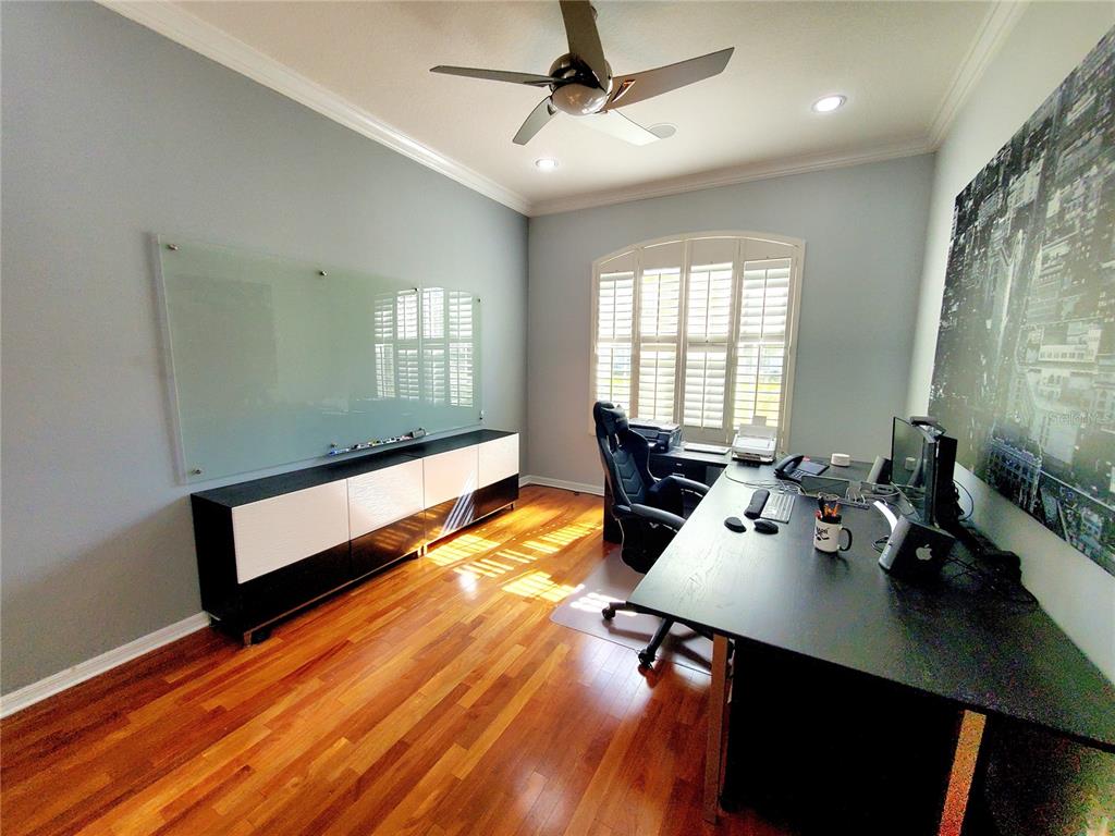 10004 Tree Tops Lake Road Tampa, FL 33626 - Photo 34 of 74 a room with furniture and window